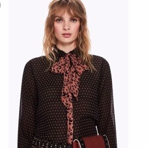 Maison Scotch Scotch & Soda Pussybow Leopard Print, Sheer Long Sleeve Top
